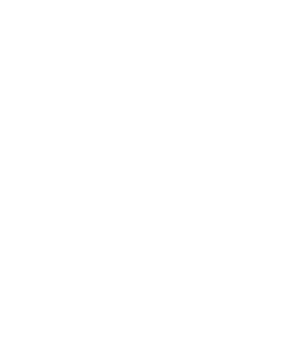 white isometric icon displaying an arrow hitting a target